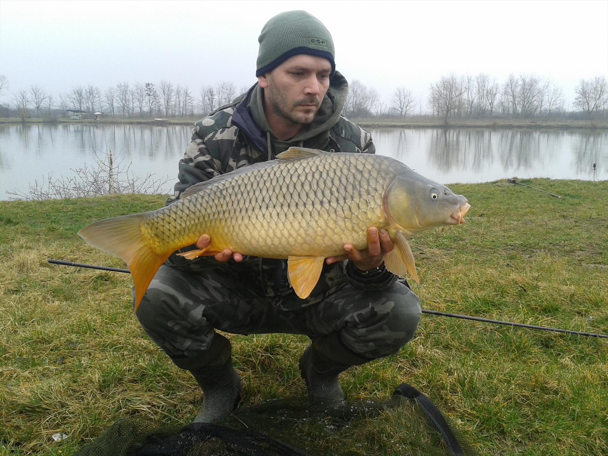 2014-2015 album 3 - 2015